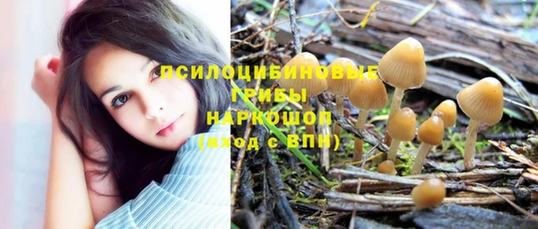 прущие крисы Майский