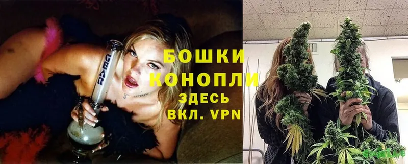 купить  сайты  Чудово  МАРИХУАНА конопля 